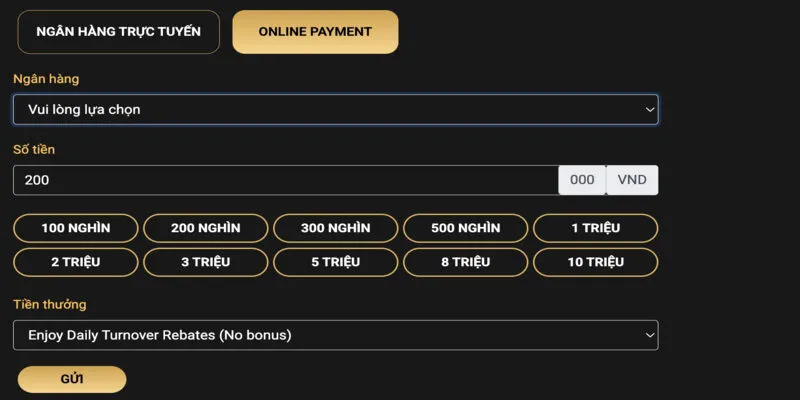 Hướng dẫn nạp tiền qua online payment